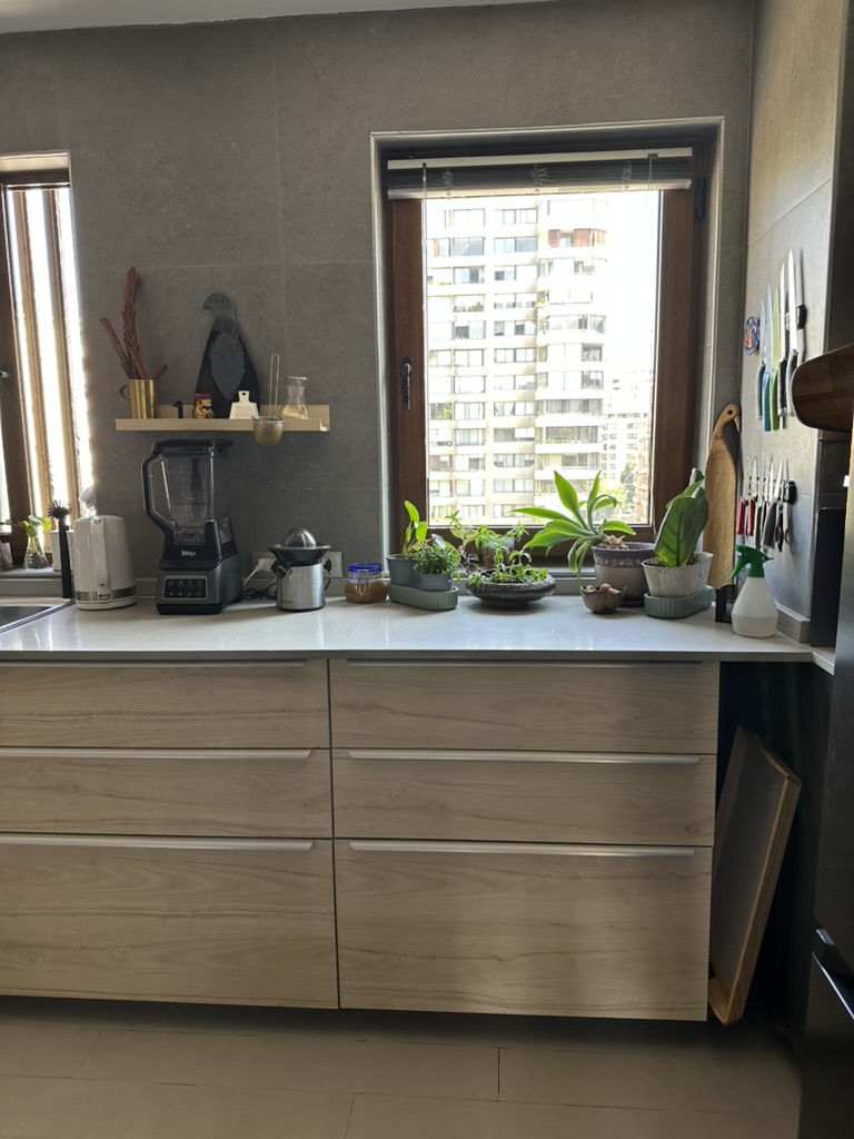 Margarita — foto 8